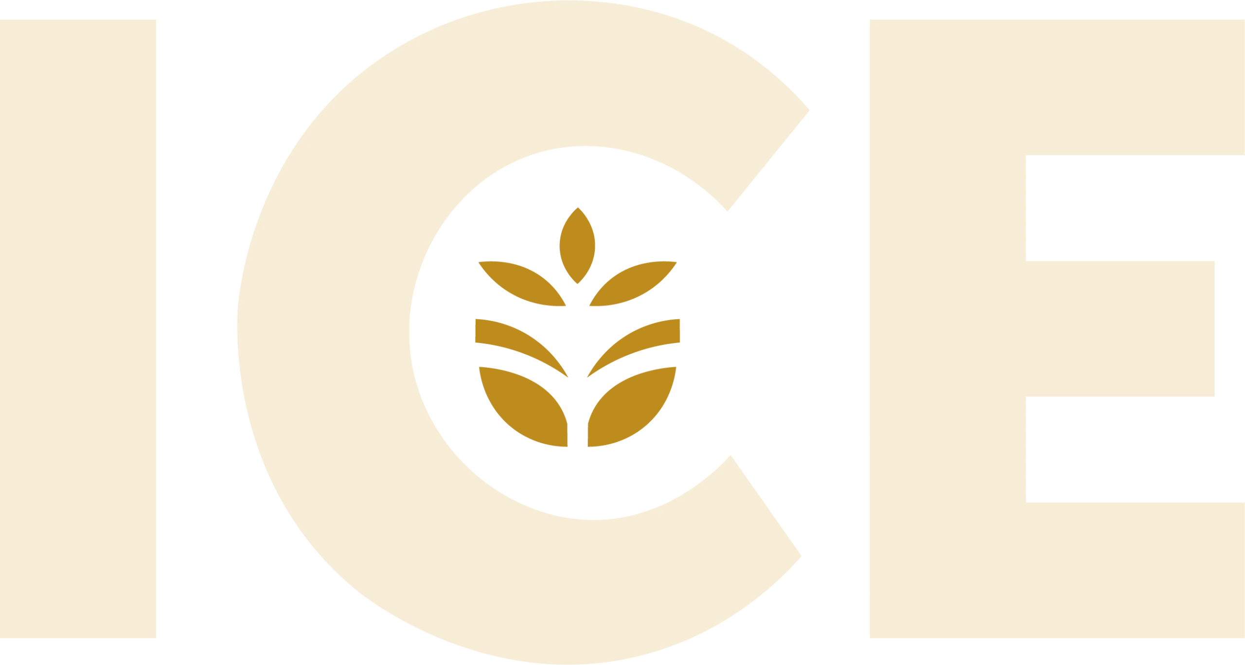 ICE LOGO POUR FOND SOMBRE